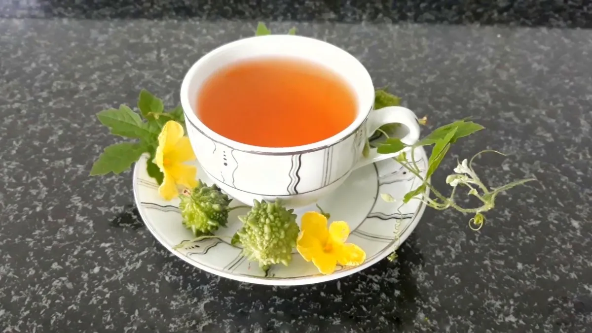Nước sắc từ mướp đắng đỏ khô giúp thanh nhiệt và hỗ trợ điều trị trĩ từ bên trong