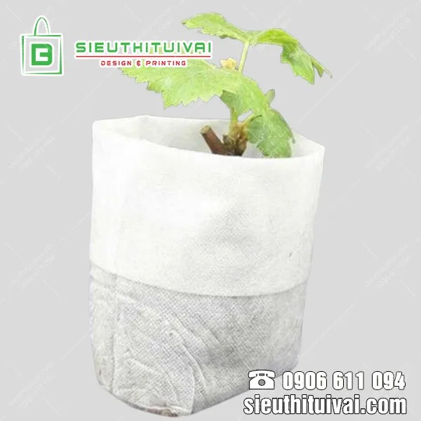 Ứng dụng vải không dệt 120g làm túi trồng cây thông minh giúp bộ rễ phát triển tối ưu