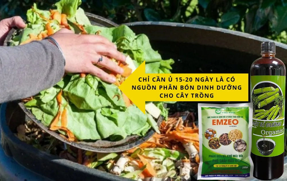 Chuẩn bị nguyên liệu đầy đủ là bước khởi đầu quan trọng để có phân bón chất lượng