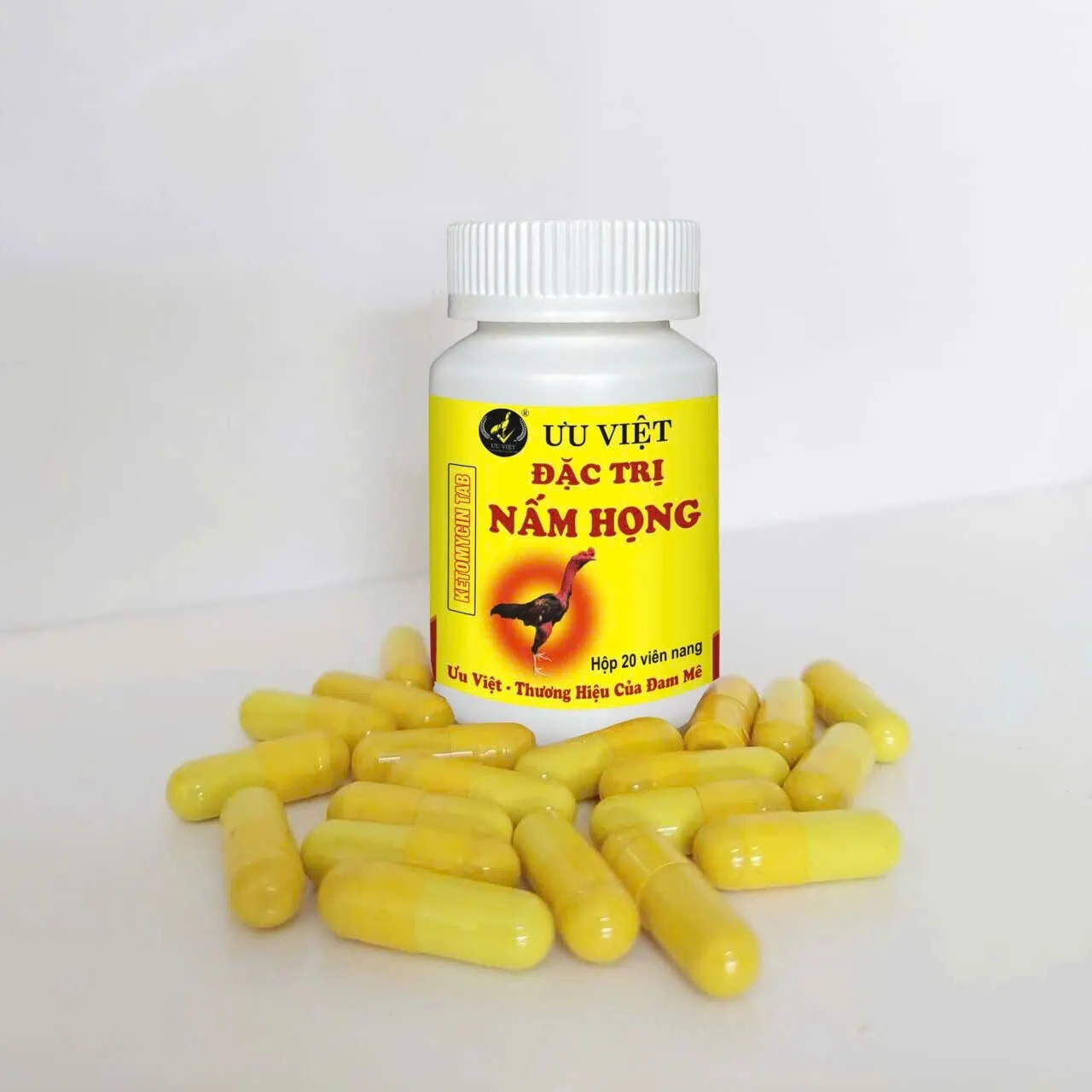 Thuốc nam Mạnh Tam Cường giúp gà tăng cường thể lực và hệ tiêu hóa