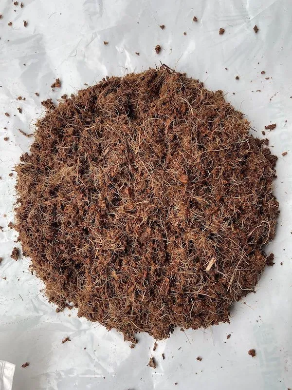 Chuẩn bị bề mặt giá thể bằng phẳng trước khi gieo hạt