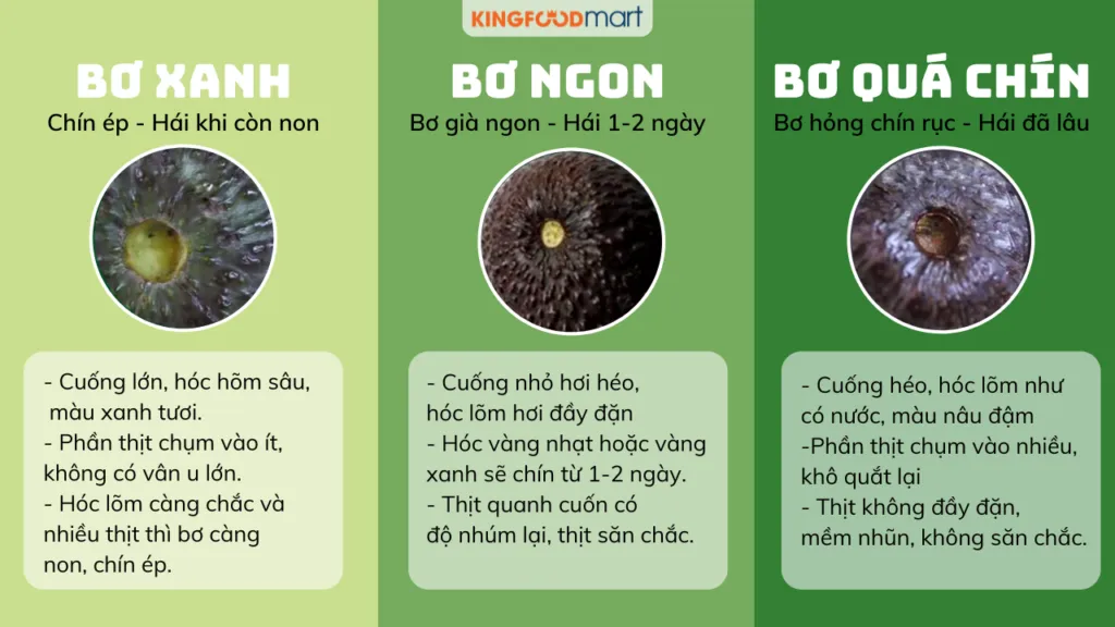 Kiểm tra cuống bơ là mẹo đơn giản để nhận biết bơ chín ngon