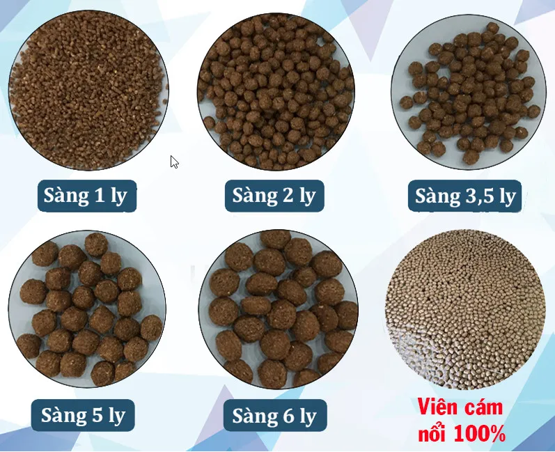 z2579449602426_ab289b7ab51c378e693af41f31e9808e Sự kết hợp giữa thức ăn công nghiệp và tự phối trộn giúp giảm đáng kể chi phí chăn nuôi
