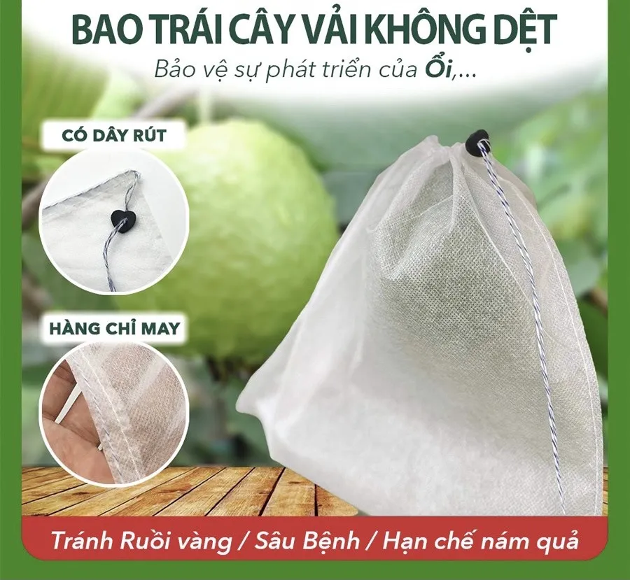 Sử dụng túi bao trái là phương pháp đơn giản và hiệu quả nhất để bảo vệ ổi khỏi ruồi đục quả
