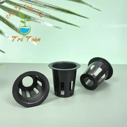 Các dụng cụ cần thiết để bắt đầu mô hình trồng cần tây thủy canh